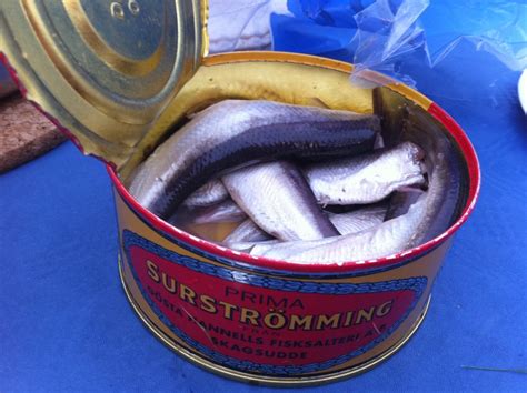 worlds smelliest fish|Swedish Surströmming: The Worlds Smelliest Food